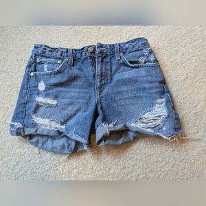 Lovers and Friends Luca Boyfriend Shorts 27